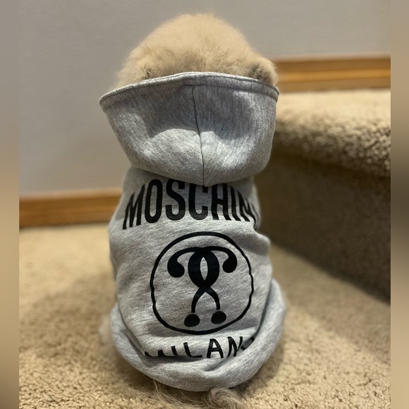 Moschino H&M collab dog grey sweatshirt hoodieUS size Small